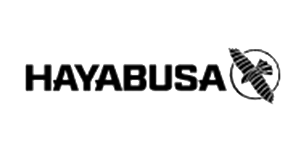 Hayabusa logo